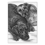 Two Cuddly Dogs Drawing by Kelli Swan cards