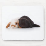 Two cute baby bunnies mouse mats