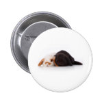 Two cute baby bunnies pins