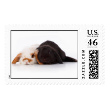Two cute baby bunnies stamps