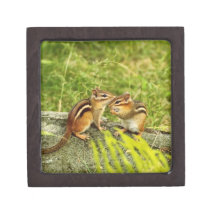 Two Cute Baby Chipmunks Premium Keepsake Box