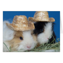 Two Cute Guinea Pigs Greeting Card cards