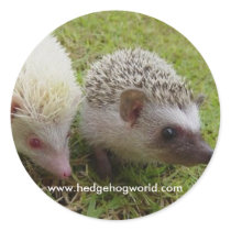 Two cuties sticker by hedgehogworld Two cuties sticker