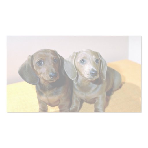 Two Dachshund pups Business Card Templates (back side)