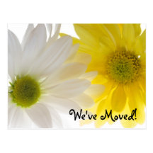 Two Daisies Change of Address Postcard