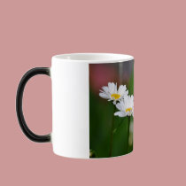Two Daisies mugs