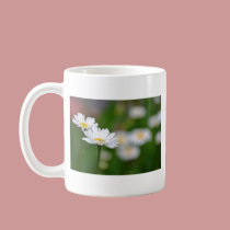 Two Daisies mugs