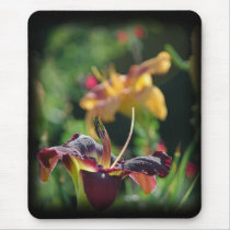 Two Daylilies mousepads by littlewingdesign Two Daylilies mousepads