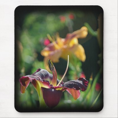 Two Daylilies Mouse Mats by littlewingdesign