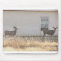 Two Deer At House mousepads