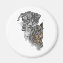 Two Doberman Pinscher Dog Portrait Magnets