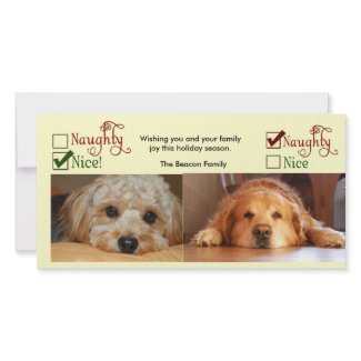 Two dog Christmas card photo template photocard