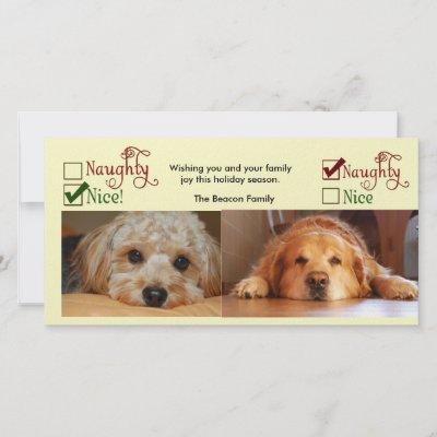 Two dog Christmas card photo template Photo Greeting Card