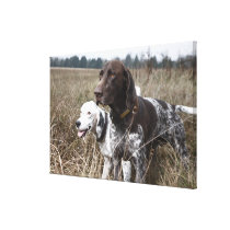 Two Dogs in Field, Houston, Texas, USA Canvas Prints