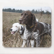 Two Dogs in Field, Houston, Texas, USA Mouse Pads