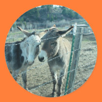 Two Donkeys stickers