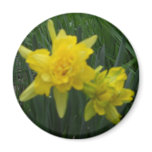 Two Double Daffodils Fridge Magnet Two Double Daffodils Fridge Magnet