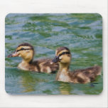 two ducklings mousepad