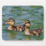 two ducklings mousepad