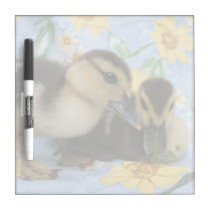 two ducklings one eyeing camera close dry erase boards