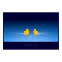 Two Ducks Playing Chicken posters