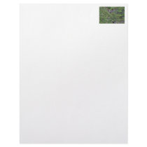 Two Eagles in an Evergreen Tree Letterhead Design