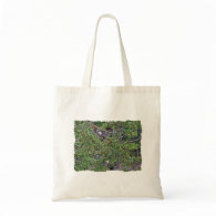 Two Eagles in an Evergreen Tree Tote Bag