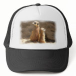 Two earth males hat