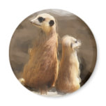 Two earth males magnets