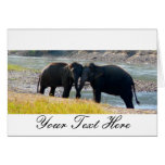 Two Elephants Card