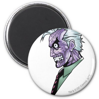 Two Face Profile magnets