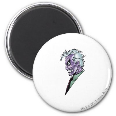 Two Face Profile magnets