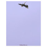TWO FIGHTING BALD EAGLES Letterhead Design
