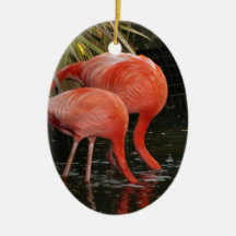 Two flamingoes with heads in the water christmas tree ornaments