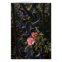 Two Flowers cards by bhbphotos Two Flowers cards