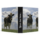 Two Friesian cows binders
