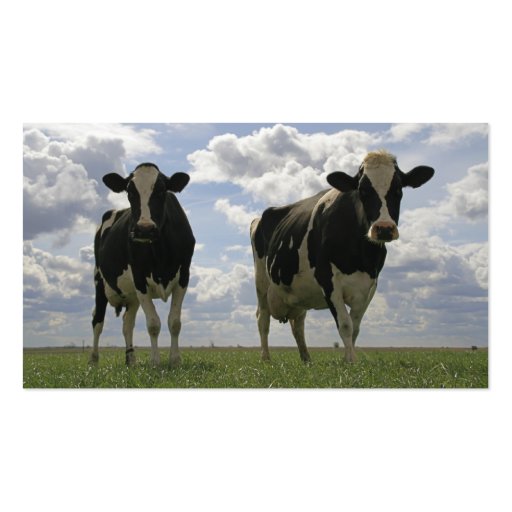 Two Friesian cows bookmark Business Card Template (front side)