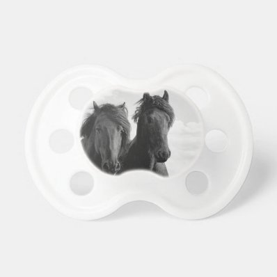 Two Friesian stallions. BooginHead Pacifier