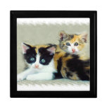 Two Funny Faced Kitties Trinket Box