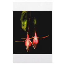 Two Fuschia's stationery by JeffreySinnock Two Fuschia's stationery
