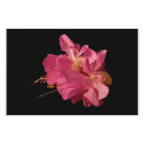 Two Fuschia's stationery by JeffreySinnock Two Fuschia's stationery