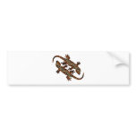 two geckos bumper sticker