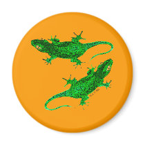 Two geckos magnets by jsoh Two geckos magnets