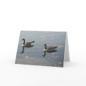 Two Geese card by serenity_ii Two Geese card
