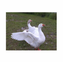 Two Geese Pin photo sculptures