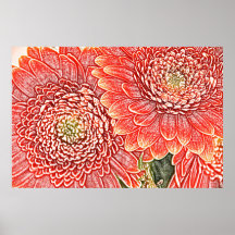 Two gerbera daisies canvas print