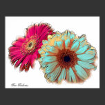 Two Gerberas, poster photograph posters