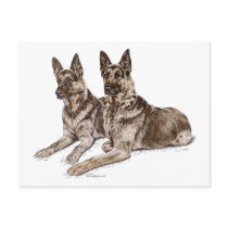 Two German Shepherd Dogs postcards