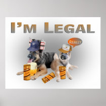 Two German Shepherd  Legal  Beer Drinkers Posters