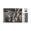 Two Goats go Postal - Customized postage